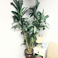Tall Fake Plant Tree