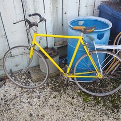 1970's Original Schwinn Bike