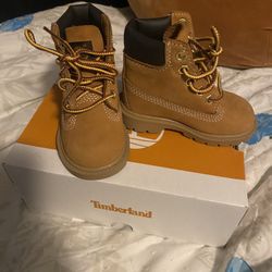 Toddler Timberlands 