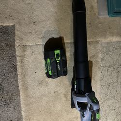 Blower From Lowes 349.00 