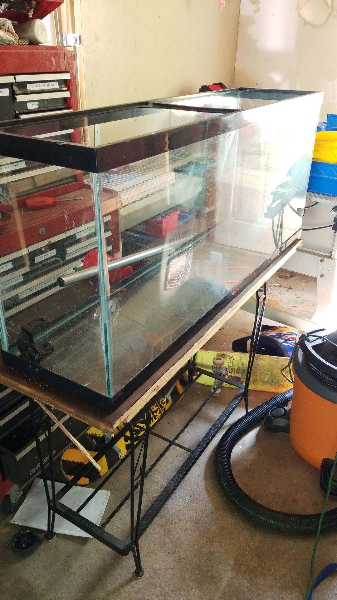 50 gallon Fish/Reptile tank and stand