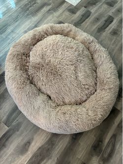 XL/L Unused dog bed