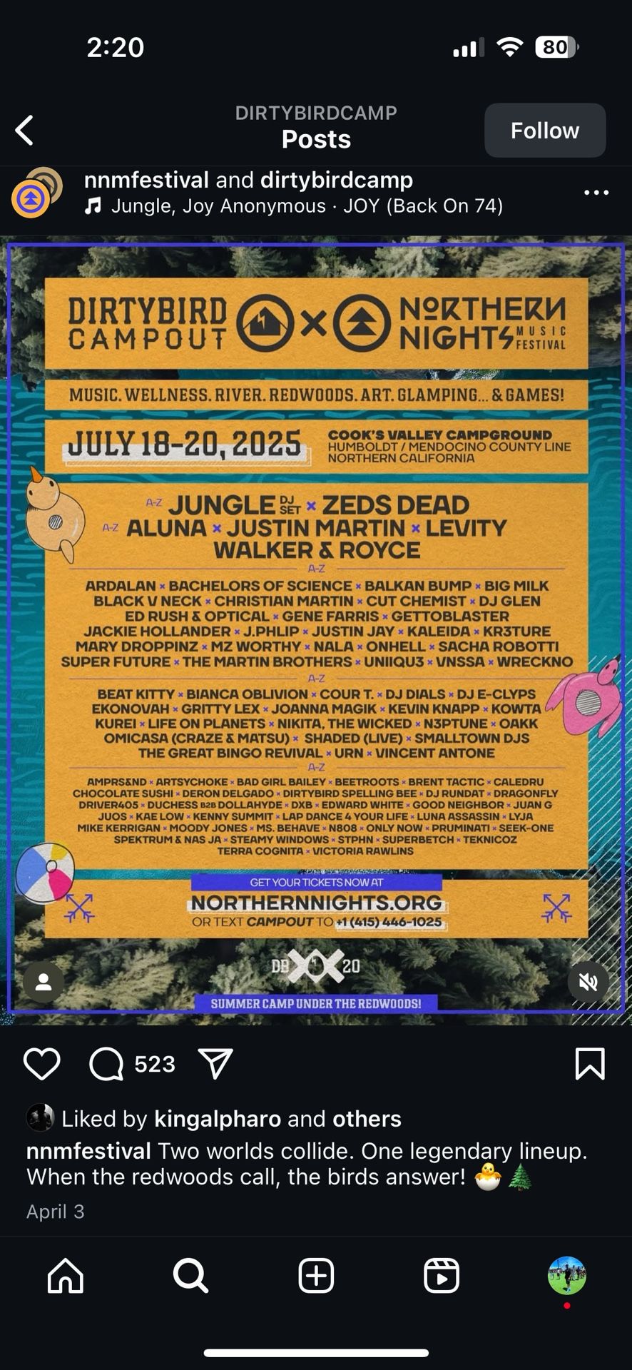 Dirty Bird Camp