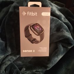 Google Sense 2 Fitbit