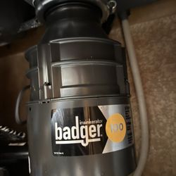 Badger Garbage Disposal