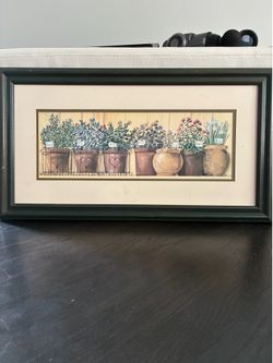 Framed plants/herbs