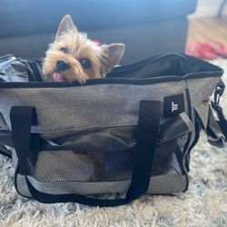 Bolso Para Transporte De Perros