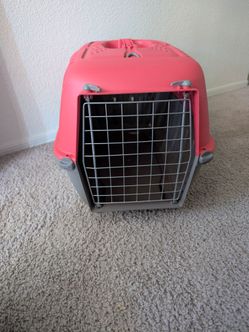 Kennel