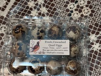 Fresh quail eggs/ Huevos de codorniz