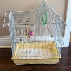 Bird Cage 