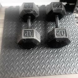 40 Lbs. Dumbbells