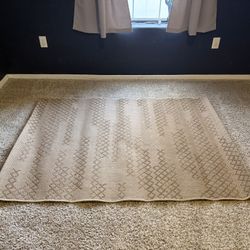 4x6 Area Rug