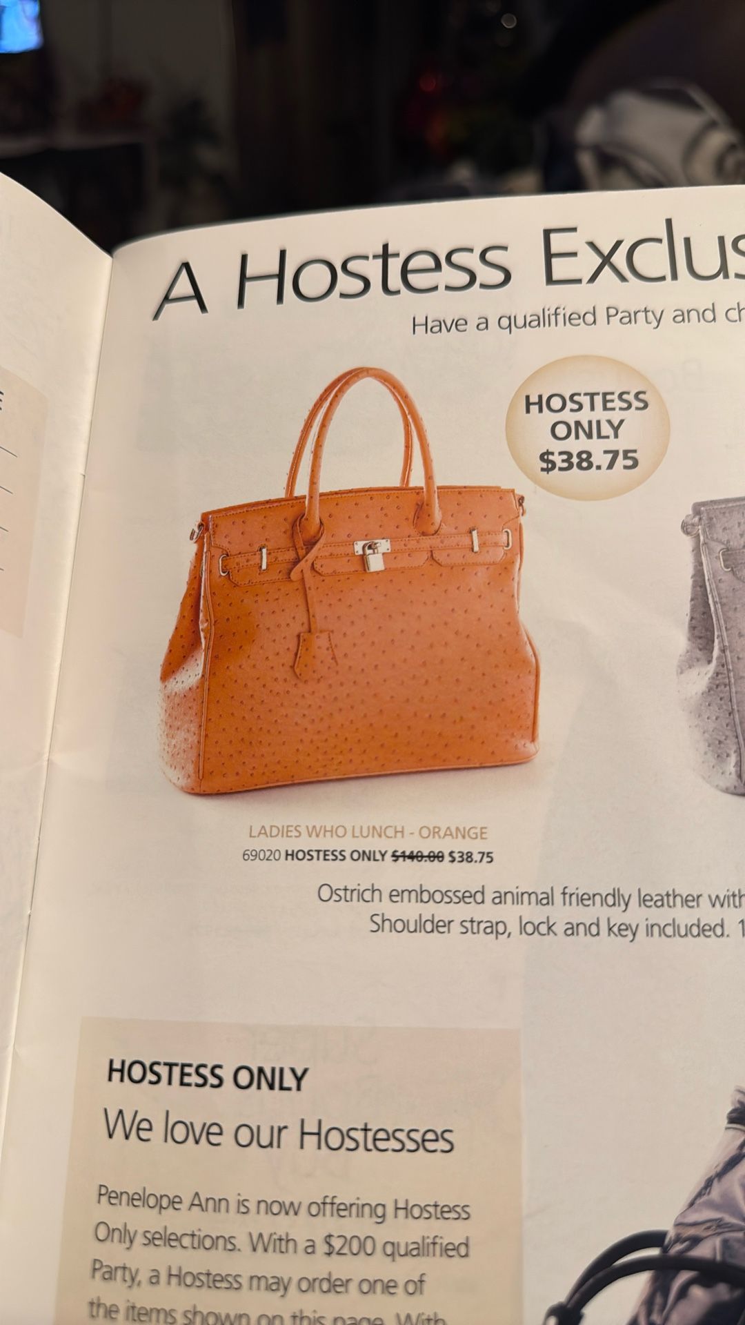 Home Interiors/Penelope Ann Purse/bolsa