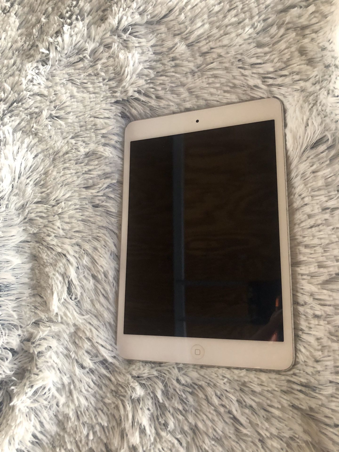 iPad mini