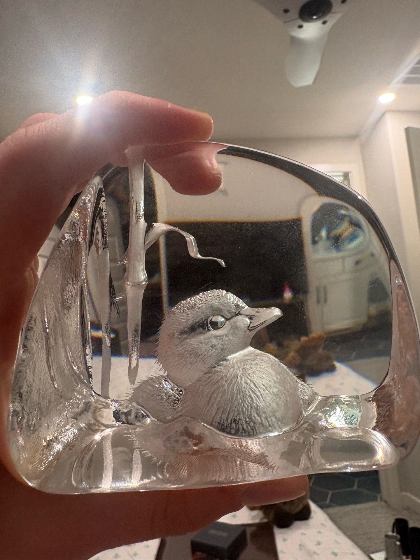 Glass duck paper stopper