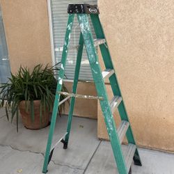 6 Feet Ladder Werner