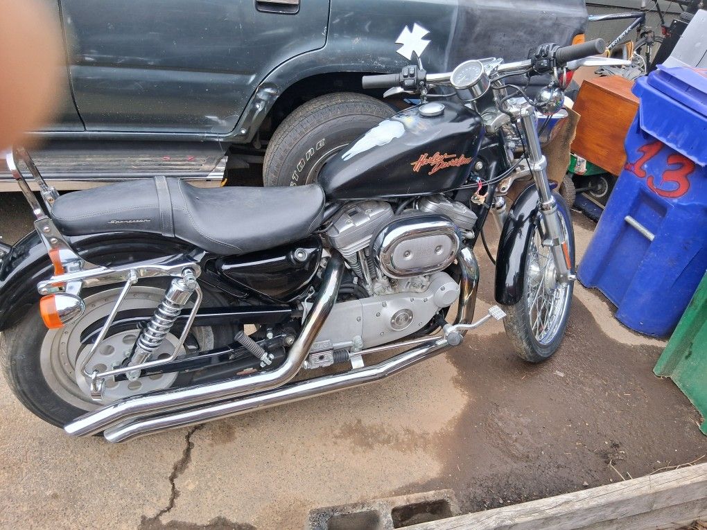2000 Harley Davidson Sportster