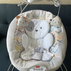Baby Bouncer