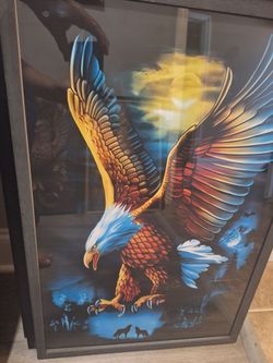 Framed Eagle Print on Canvas