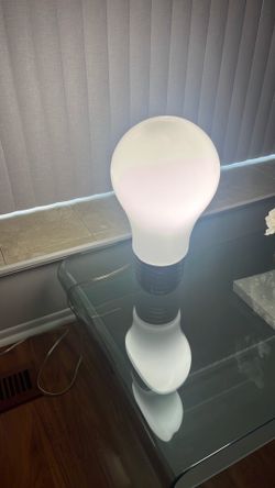 Light bulb