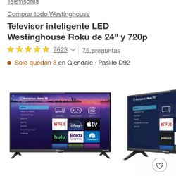 TV 24 PULGAS 