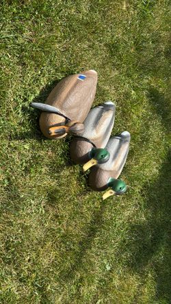Mallard Herters Duck Decoys