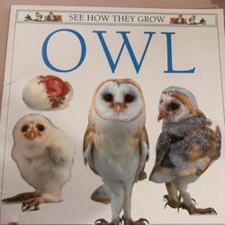 Large Book “See How They Grow   Owl”