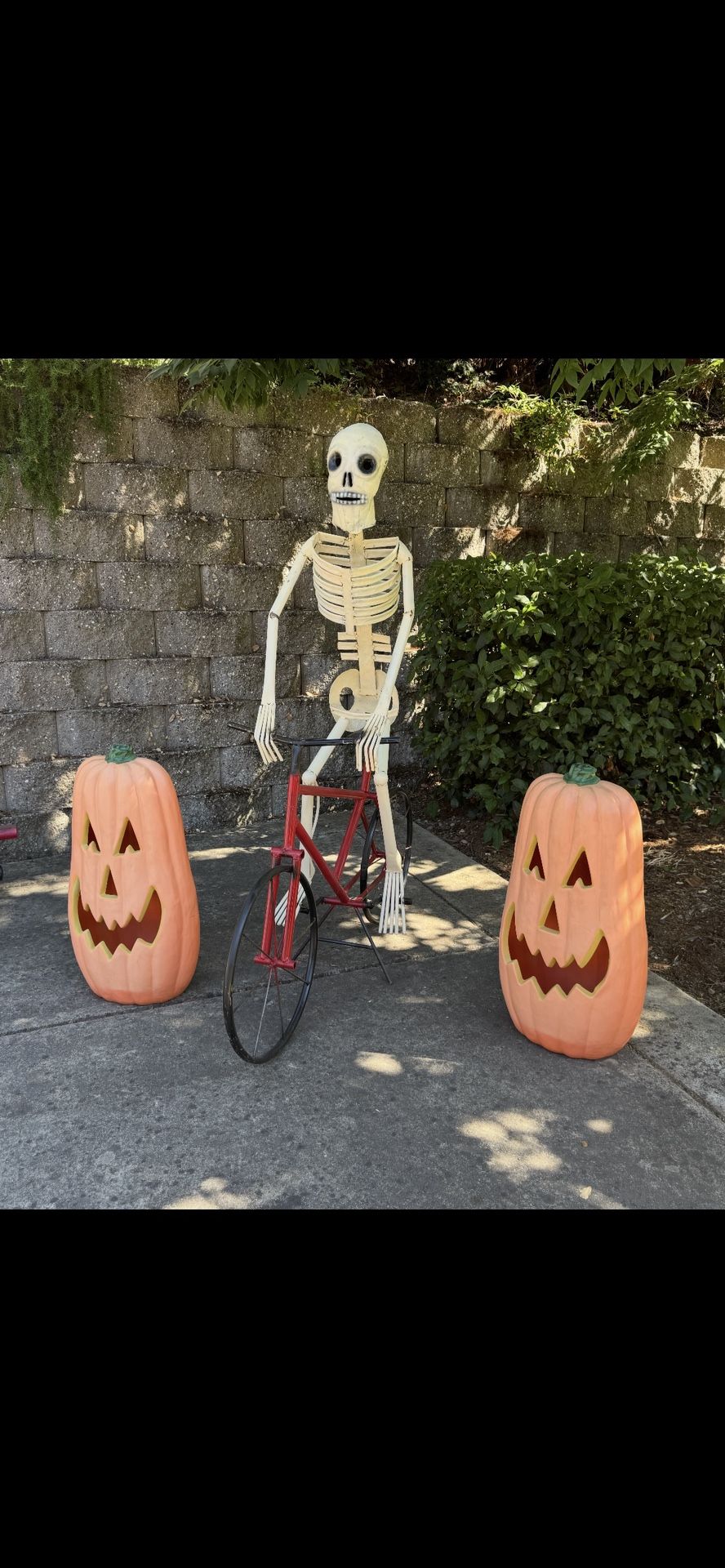 Halloween Skelton Decoration