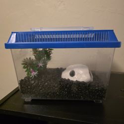 Small Tank And Accessories 