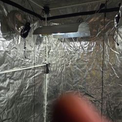 Grow Tent With Light 