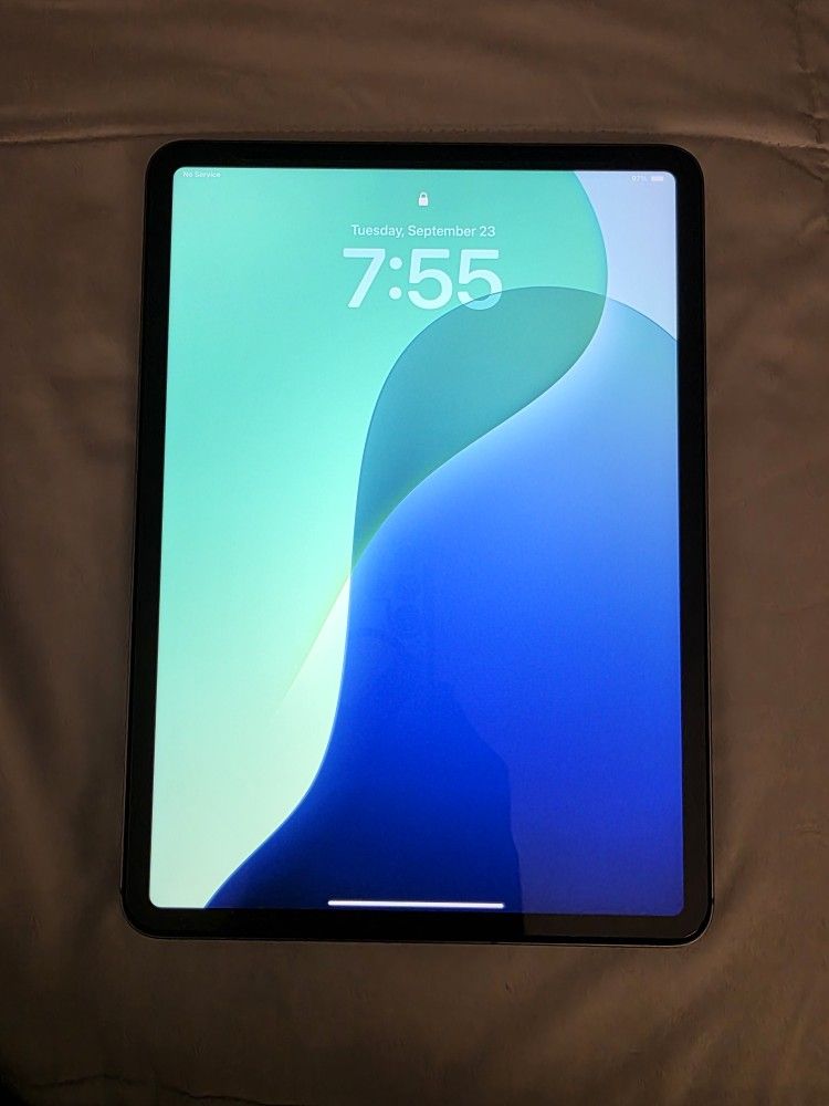 iPad Pro 11 Inch 256 GB 4th Gen (Unlocked) 