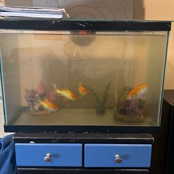 Fish Tank With Filter And Accessories Everything Letting Go For Cheap !!