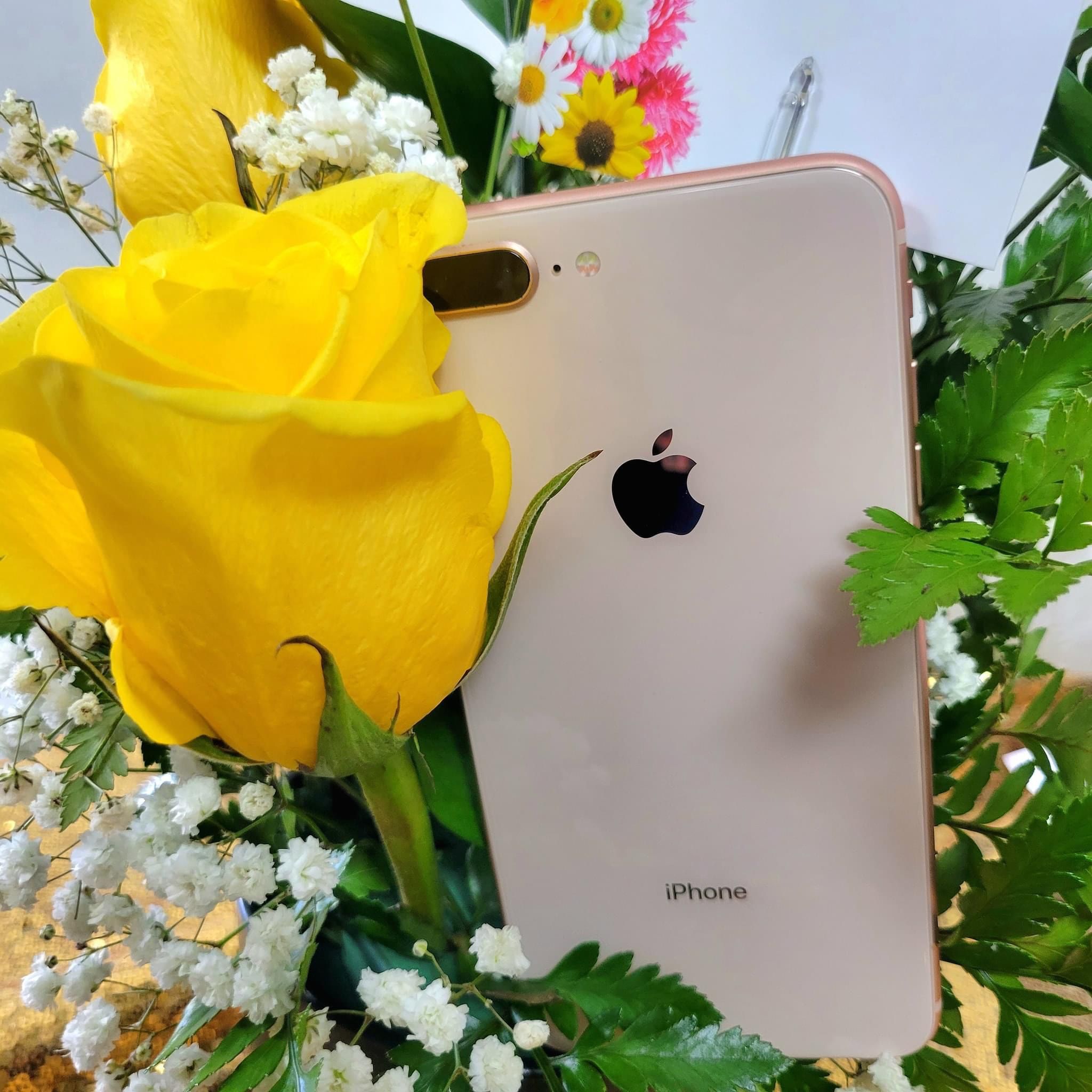 iPhone And Apple Watch