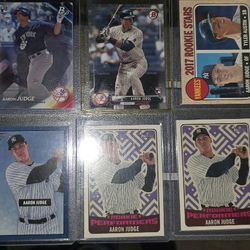 Lil Judge Collection