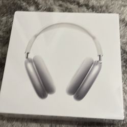 Air Pod Pro Maxes
