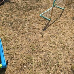 Grass Dying N Sprinklers 