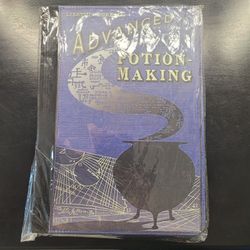 Harry Potter iPad Air 2 Cases (x2)