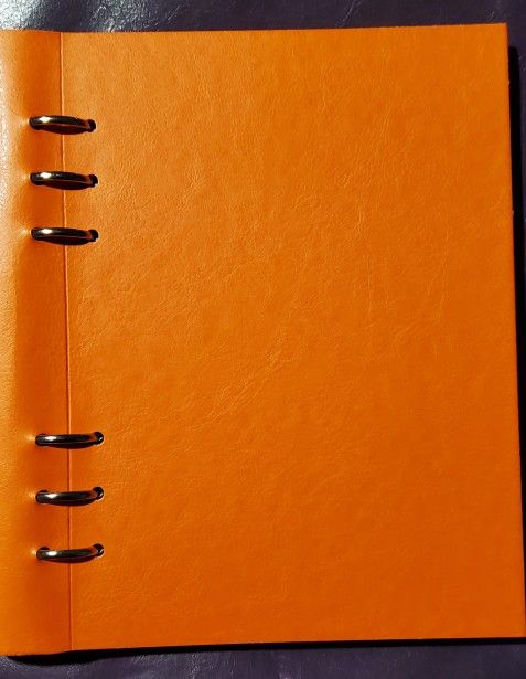 Orange A5 Filofax Clipbook