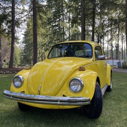 1975 VW Beetle Auto-stick 