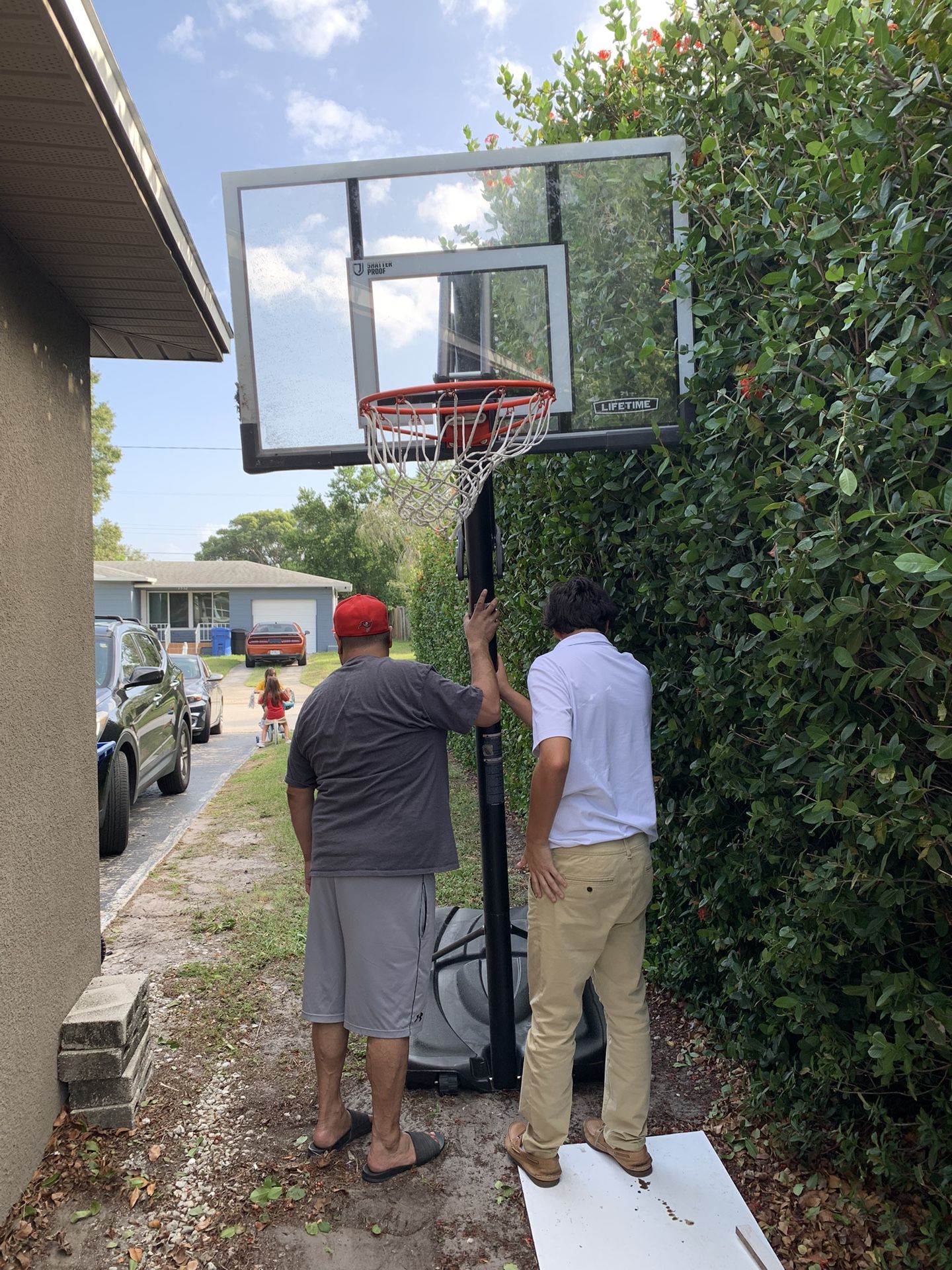 Lifetime Basketball Hoop