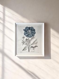 William Stafford Botanical Flower Print in White Gallery Frame