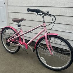 schwinn salina