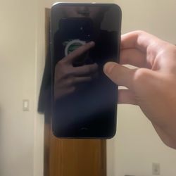 Undamaged iPhone 7 Plus
