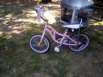 Little Girls Shwin Bike