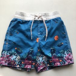 Gap Toddler Boy Swimsuits (18-24M) 
