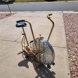 Schwinn Classic Airdyne