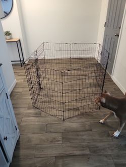 Collasable Cage