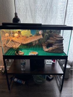 Tank 50” gallon with stand