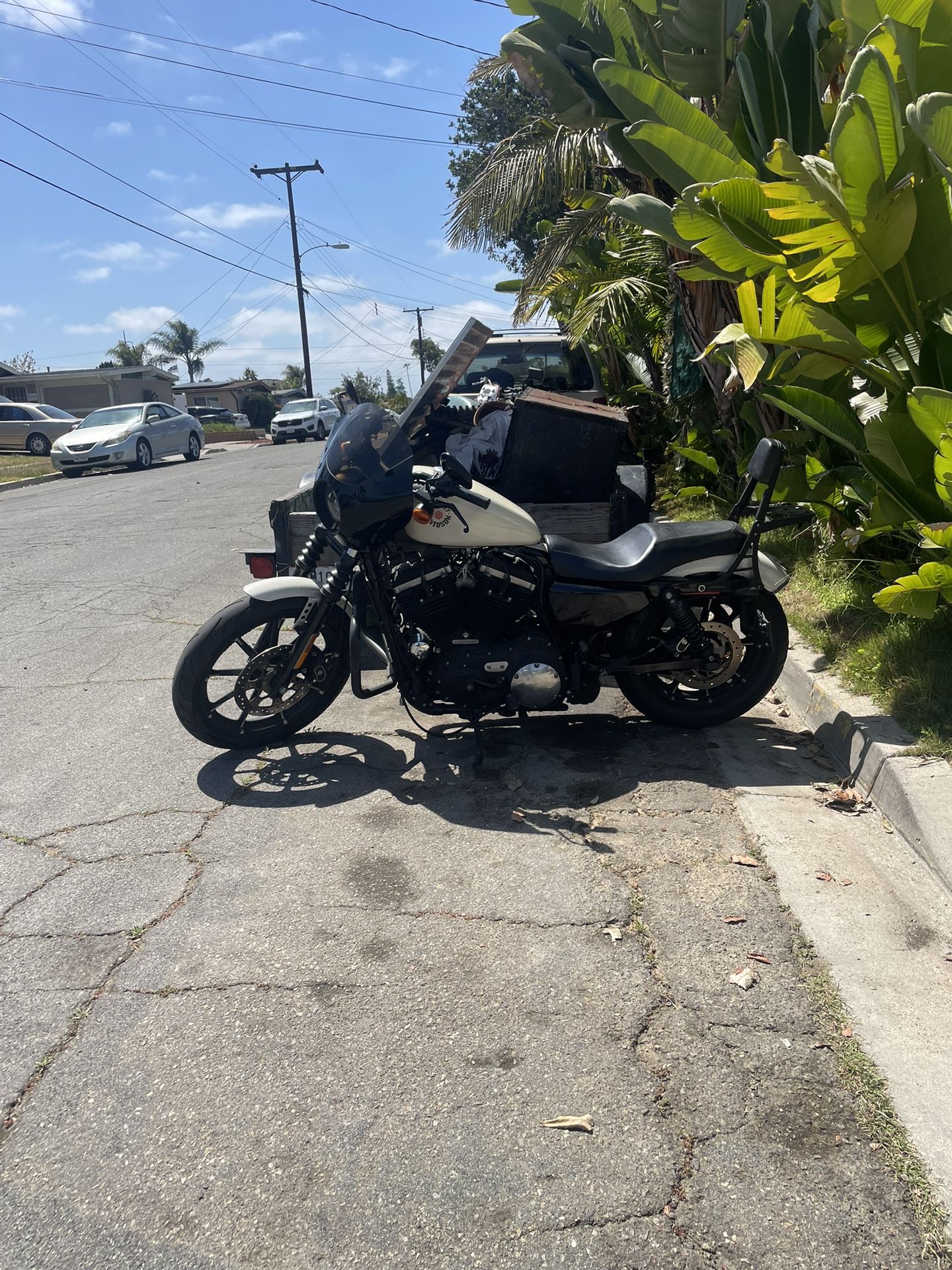 2023 Harley Davidson Iron 883