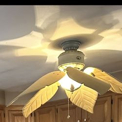 Hampton Bay Ceiling Fan Light